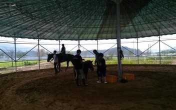 말!달리자(자람교실승마체험) 이미지